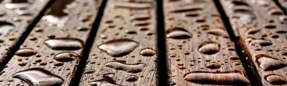 14599837791071889359658